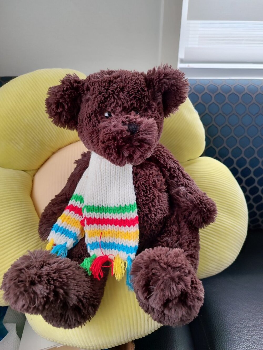 NWT rare 2005 Hudson's Bay Company Millington Charity Deep Dark Brown Teddy Bear